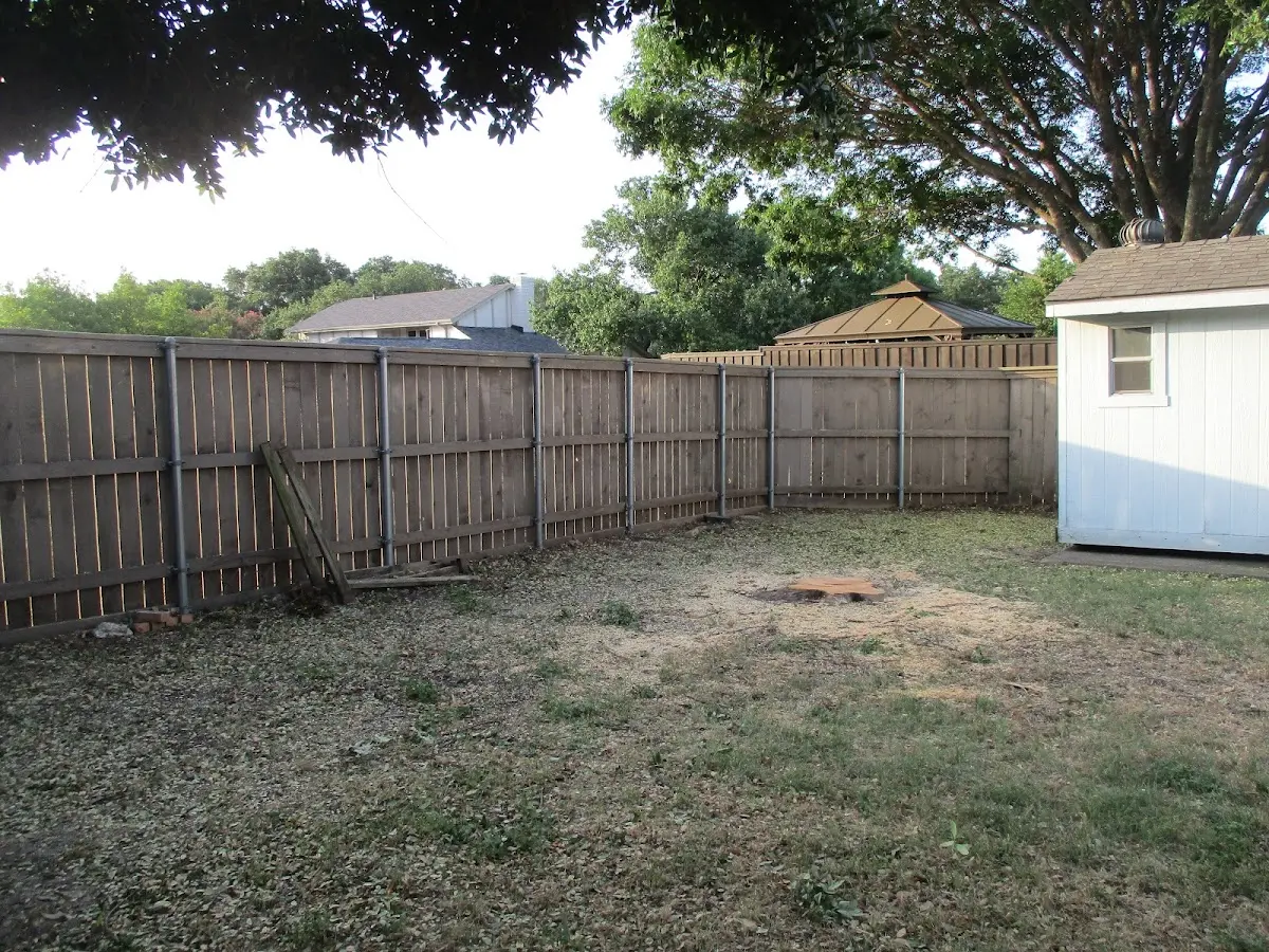 Cleared yard after professional tree removal in Hollins